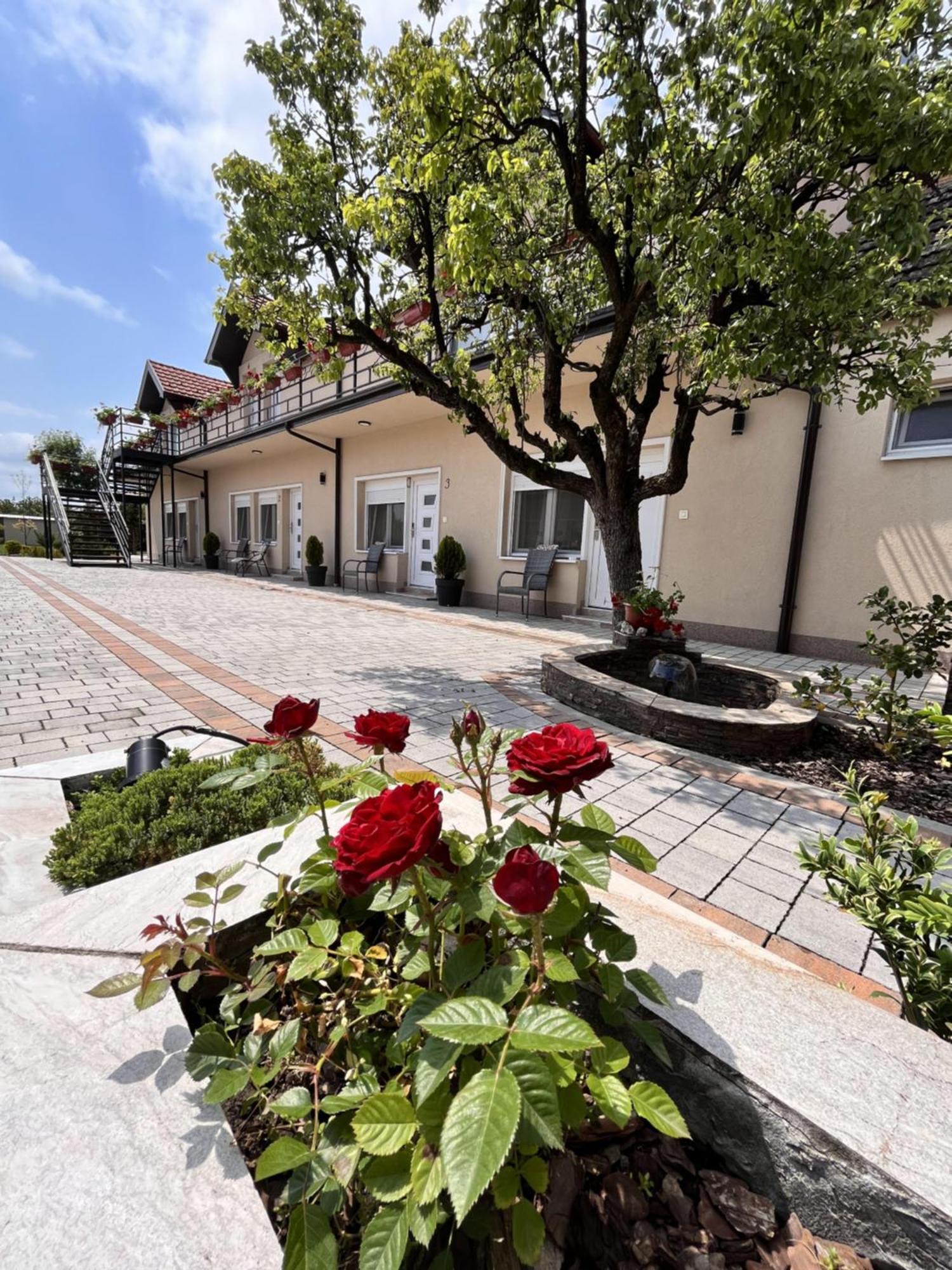 Kovač Residence Zrenjanin Exterior foto